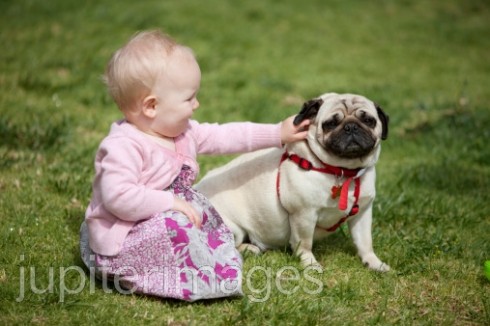 © Murphy Photo, Inc.